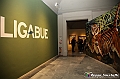 VBS_3437 - Mostra Ligabue - Promotrice delle Belle Arti Torino